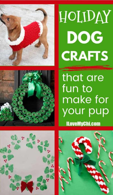 Looking for some new craft projects to do this season? Check out these fun crafts you can make for your dog! Christmas Gifts From Dog, Dog Crafts Christmas, Diy Dog Gifts Christmas, Dog Friendly Christmas Decorations, Diy Dog Crafts Decor, Dollar Tree Dog Diy, Crafts To Do With Dogs, Christmas Crafts For Dogs, Diy Dog Christmas Gifts