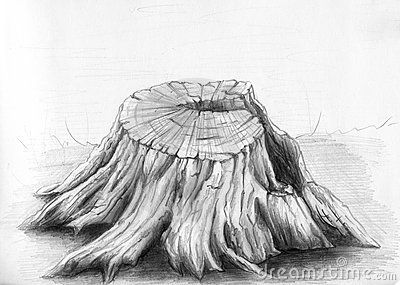 Old tree stump - sketch Tree Stump Sketch, Tree Stump Tattoo Ideas, Tree Tattoo Drawings, Roots Illustration, Family Tree Tattoo, Tree Drawings Pencil, Pine Tree Tattoo, Tree Sketches, Art Drawings Sketches Pencil