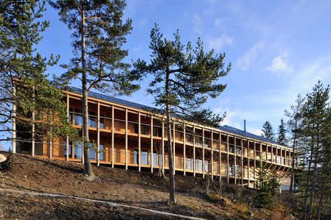 Mountain Hotel Architecture, Mountain Resort Architecture, Mountain Architecture, Mountain Hotel, Wood Facade, Eco Hotel, Skyscraper Architecture, Resort Design, Hotel Architecture