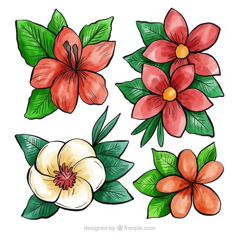 Tropical Flowers Drawing, Watercolor Spring, Stage Decoration, Flower Plants, Flower Collection, Cartoon Flowers, Floral Drawing, Flower Template, Stage Decorations