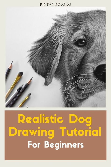 In this step-by-step video tutorial, we will guide you through the process of drawing a realistic dog, perfect for aspiring artists and beginners alike. From the wagging tail to the soulful eyes, capturing the essence of a canine companion on paper may seem daunting at first, but fear not! Our talented art instructor will walk you through every stroke, sharing invaluable tips and techniques that will make the process enjoyable and rewarding... Realistic Dog Drawing, Dog Portrait Drawing, Dog Drawing Tutorial, Realistic Animal Drawings, Beginner Drawing Lessons, Dog Portraits Art, Pencil Drawings Of Animals, Acrylic Art Projects, Pencil Drawing Tutorials