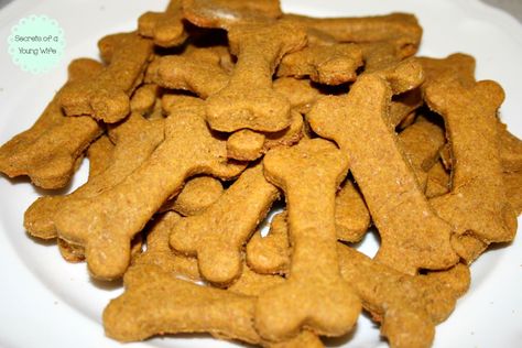 Peanut Butter Pumpkin Dog Treats Peanut Butter Pumpkin Dog Treats, Soft Dog Treats, Dogs Ideas, Cbd Dog Treats, Ideas For Dogs, Peanut Butter Pumpkin, Organic Peanut Butter, Pumpkin Dog Treats, Oils For Dogs