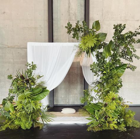 Greenery Stage Decor, Stage Design Greenery, Greenery Installation, Fern Backdrop, Tropical Flower Arch, Fern Wedding Backdrop, Green Foliage Backdrop, Green Floral Installation, Head Table Backdrop