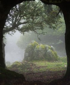 lunarynth:  burning-soul:  Forest Portal, Sardinia, Italy  I need to go back to Italy Fantasy Woods, Mars Aesthetic, Celtic Pagan, Foggy Forest, Book Aesthetics, Nature Forest, Fantasy Warrior, Land Art, Magical Places