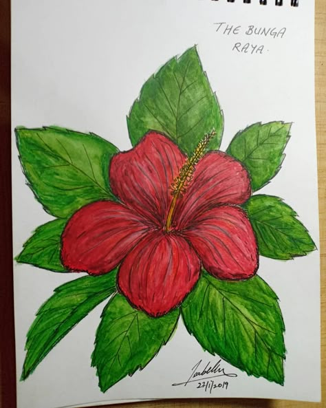 Malaysia's National Flower - The Bunga Raya   Watercolour pencil sketch Flora Fauna Drawing, Raya Drawing, Malaysia Drawing, Poster Merdeka, Hawaiian Flower Drawing, Flora And Fauna Drawing, Hibiscus Drawing, Hibiscus Flower Drawing, Font Doodle