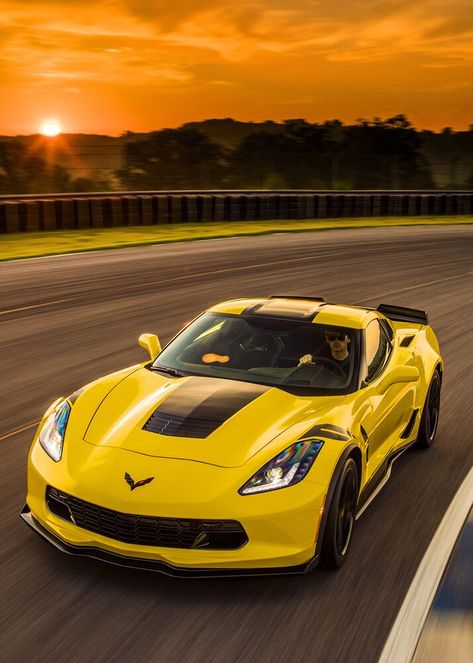 Rich Cars, Corvette Grand Sport, Corvette C7, Dodge Viper, Sports Wallpapers, Chevy Corvette, Chevy Camaro, Amazing Cars, Chevrolet Corvette