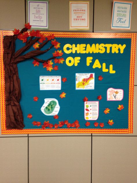 Fall Board, Fall Boards, Fall Bulletin Boards, Tree Drawing, Bulletin Boards, Bulletin Board, Classroom Decor, Chemistry, Door Decorations