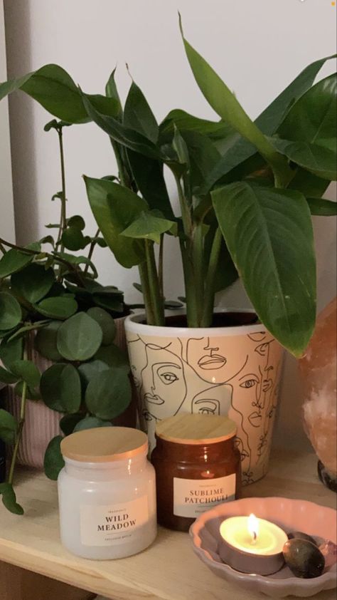 Plants And Candles Aesthetic, Plant Pot Aesthetic, Plant Mom Aesthetic, Beige Bedroom Decor, Plants In Bottles, Fake Plants Decor, Uni Room, Cute Diy Room Decor, Aesthetic Candles