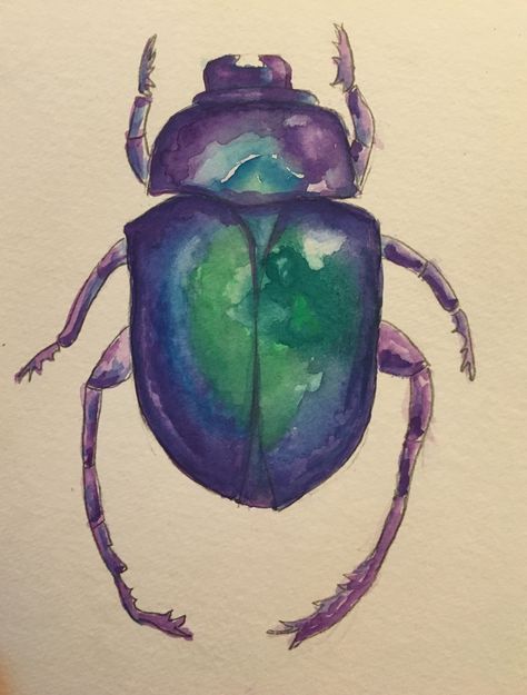 Beetle Watercolor Insects, Scarab Beetle Painting, Bettle Bug Drawings, Bug Watercolor Painting, Egyptian Watercolor, Scarab Beetle Drawing, Scarab Illustration, Beetles Drawing, Scarab Beetle Art