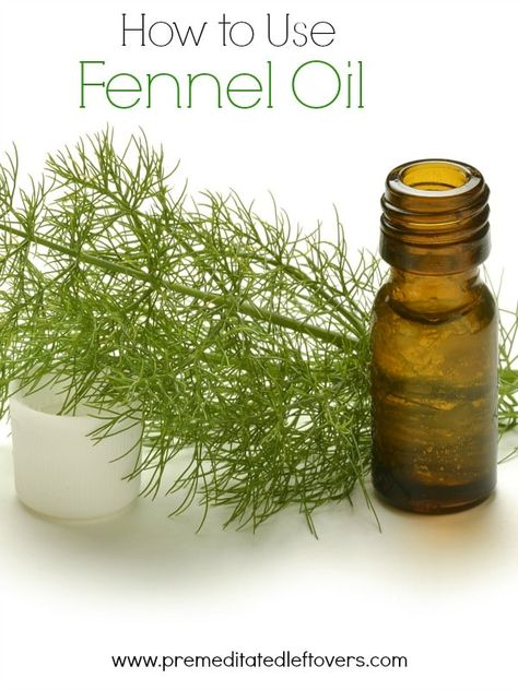 How to Use Fennel Oil- Learn how to make your own fennel oil. Once you have this oil on hand, you can enjoy its health benefits or use it in recipes. Natural Household Products, Fennel Oil, Fennel Essential Oil, Game Arcade, Focus 3, Making Essential Oils, Mint Oil, Oil Remedies, Essential Oil Storage