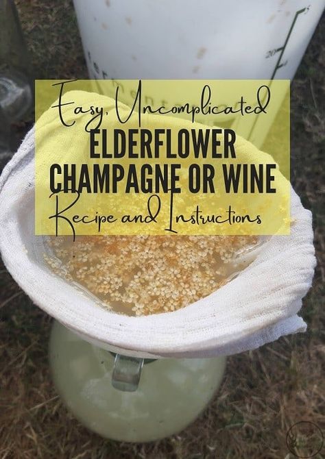 Elderflower Liqueur Recipes, Elderflower Champagne Recipe, Elder Flower Cocktail, Drinks With Elderflower Liquor, Elderflower Liquor Cocktails, Elderflower Champagne, Elderberry Flower, Champagne Recipe, Elderberry Recipes