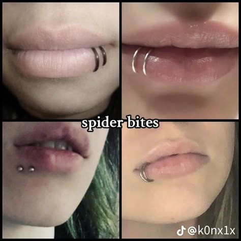 Spider Piercing Lip, Lip Piercing Connected To Ear, Spider Bites Pictures Piercing, Spider Bite Lip Piercing, Shark Bites Piercing Rings, Fang Peircings, Canine Piercing, Mouth Piercings Chart, Vampire Bites Piercing