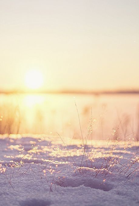 Yellow Winter Aesthetic, Snow Sunrise, Winter Lights, Winter Gold, Wallpaper Winter, Lavender Lemon, Winter Frost, Winter Morning, Winter Sun