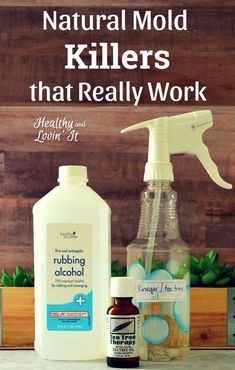 These natural mold removers helped me to get rid of mold on walls, baseboard, leather, and wood. These DIY cleaners are heavy duty enough to kill the mold, but natural enough that I am not exposed to chemicals while cleaning. #HealthyandLovinIt #moldcleaner #naturalliving #naturalremedies Mold In Bathroom, Cleaning Mold, Homemade Cleaning Solutions, Homemade Cleaning Products, Natural Cleaners, Household Cleaning Tips, Cleaning Recipes, Diy Cleaners, Mold Remover