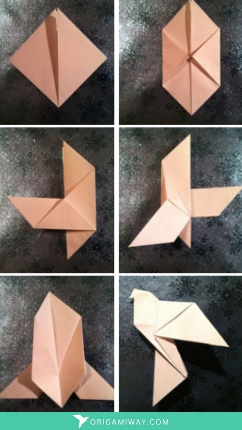 A light orange origami dove Origami Dove Instructions, Christian Origami, Constructed Photography, Origami Dove, Beautiful Origami, Dove Of Peace, Origami Bird, How To Make Origami, The Dove