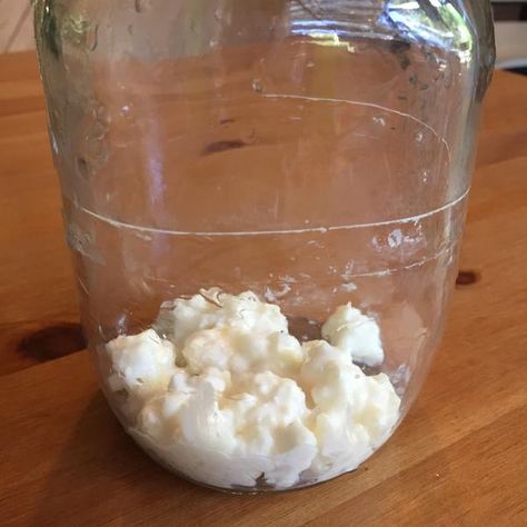 Milk Kefir Recipes, Fridge Smells, Kefir Benefits, Milk Kefir Grains, Water Kefir Grains, Kefir Yogurt, Homemade Kombucha, Kefir Recipes, Kefir Grains