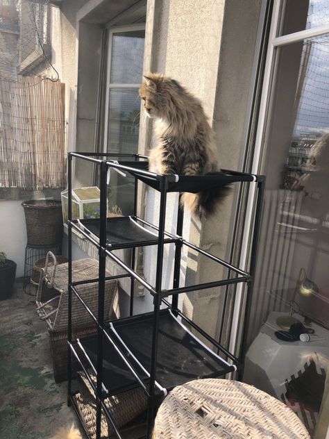 Here's a great idea for creating an inexpensive cat tower that can be put outside. Balcony Cat Ideas, Cat Balcony Ideas, Wicker Cat Bed, Outdoor Cat Tree, Cat Playground Outdoor, Diy Balcony, Diy Teepee, Cats Diy Projects, Diy Cat Tree