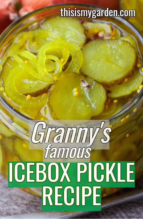 Cinnamon Pickles Recipe Easy, How To Make Sweet Pickles From Cucumbers, Recipe For Refrigerator Pickles, Diy Refrigerator Pickles, Over Night Pickles, Refrigerator Pickles Recipe, Sweet Refrigerator Pickles Easy, Pickel Recipe Canning, Yum Yum Pickles Recipe