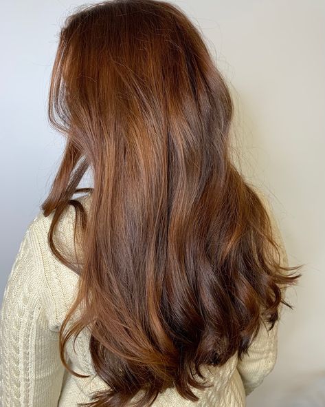 Cinnamon Hair Aesthetic, Auburn Undertone Hair, Faded Auburn Hair, Barely Red Hair, Dark Natural Auburn Hair, Subtle Copper Brown Hair, Brown Cinammon Hair Colour, Brown Hair Copper Undertone, Expensive Copper Hair