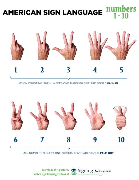 Numbers Sign Language, Number Sign Language, American Sign Language Numbers, Asl Sign Language Numbers, Numbers In Sign Language, Numbers In Asl, Asl Numbers 1-20 Sign Language, Asl Sign Language Phrases, Sign Language Numbers