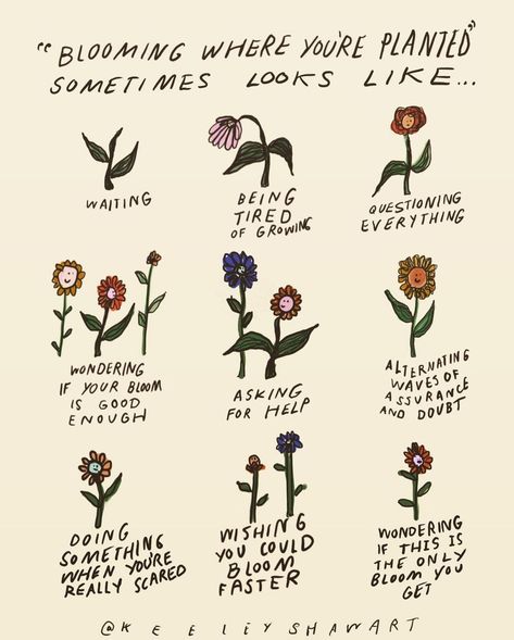 Drop three 💐💐💐 in the comments if you needed to see this today! ❤️We are all planted in different places, with different conditions, and varying needs. I have a tendency to compare my place in life to the people I grew up with, but here’s the thing. After finishing school, I was dealing with some serious academic burnout and self-esteem issues. This meant that I didn’t go to university, for these, and other, reasons. Then there was a GLOBAL PANDEMIC. Completely unprecedented and not what I ex Bloom Quotes Inspirational, Academic Burnout, Bloom Quotes, Mental Health Inspiration, Self Esteem Issues, Bloom Where Youre Planted, Finishing School, Going To University, Growth Quotes