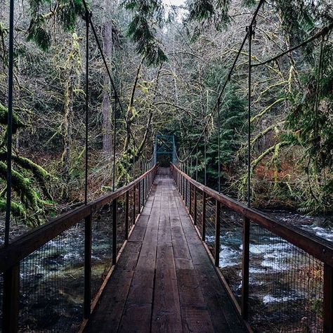 These Awesome Northwest Suspension Bridges Will Leave You Breathless | That Oregon Life Clackamas Oregon, Cool Places To Go, Oregon Life, Oregon Road Trip, Washington Travel, My Hood, Lake Front, Eagle Creek, Photoshoot Locations