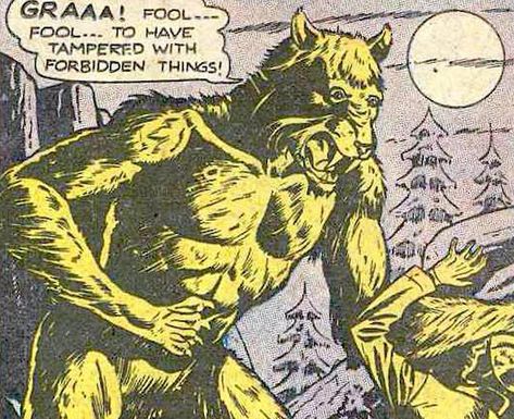 Vintage Werewolf, Werewolf Comic, Camp Horror, Picture Journal, Scary Snakes, Blood Hunter, Make Music, Pop Art Comic, Art Comic