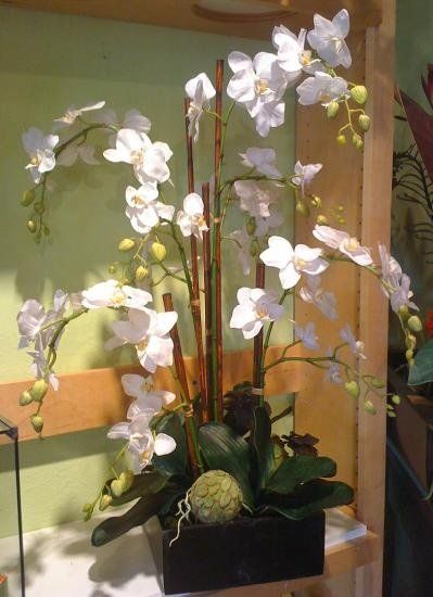 Orchid Flower Arrangements, Orchid Centerpieces, Silk Orchids, Growing Orchids, Artificial Orchids, Orchid Arrangements, Silk Floral Arrangements, Silk Flower Arrangements, Orchid Plants