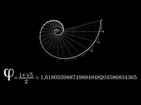 Phi the Golden Ratio Fibonacci Golden Ratio, Divine Proportion, The Golden Mean, Mathematical Equations, The Oregon Trail, Fibonacci Sequence, The Golden Ratio, Fibonacci Spiral, Golden Ratio