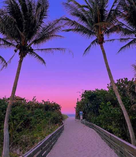 Singer Island Florida, Apple Pudding, Miami Sunset, 2024 Moodboard, Stay Salty, Pink Skies, Miami Life, Captiva Island, Visit Florida