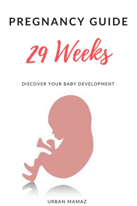 29 weeks pregnancy guide 42 Weeks Pregnant, Pregnancy Trimesters, Pregnancy Development, Week By Week Pregnancy, Body Changes During Pregnancy, 23 Weeks Pregnant, 29 Weeks Pregnant, 40 Weeks Pregnant, 24 Weeks Pregnant