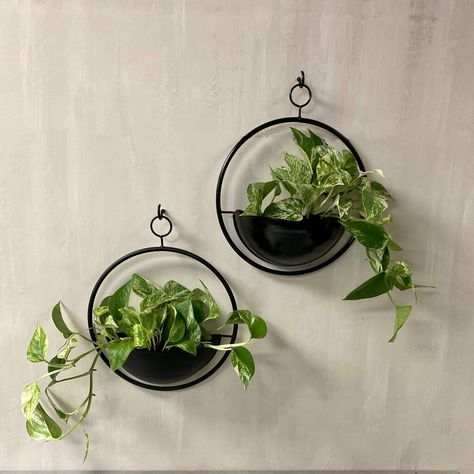 Wall Plant Holder, Planters Indoor, Metal Wall Planters, Wall Planters Indoor, Hanging Wall Planters, Wall Plant Hanger, Hanging Terrarium, Macrame Planter, Wall Planters