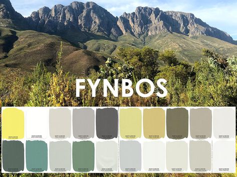 Fynbos Colour Collection | Paint Store | Cape Town Paint Store, Colour Collection, Storing Paint, Paint Colour, Beautiful Mountains, Online Painting, Color Collection, Colour Palettes, Choose Colors