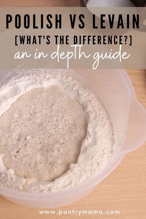 Yeast Starter, Sourdough Bread Starter, French Baking, Bread Starter, Sourdough Baking, What Is The Difference Between, Starters Recipes, Sourdough Recipes, Bread And Pastries