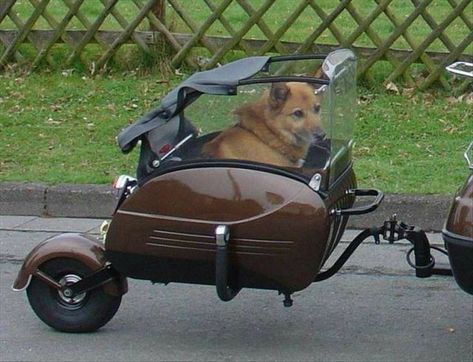 Honda Metropolitan, Scooters Vespa, Biker Dog, Dog Trailer, Honda Ruckus, Motorcycle Sidecar, Motorcycle Trailer, Motorcycles And Scooter, Bike Trailer