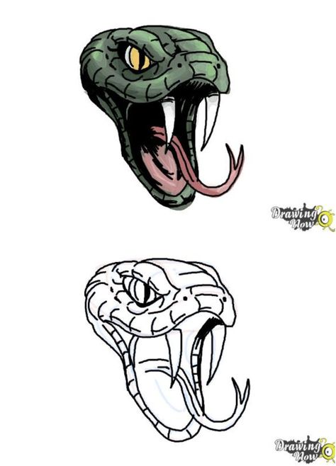 Cool Snake Head Drawing Snake Front View Drawing, Snake Hissing Drawing, Snake Mouth Drawing, Snake Face Drawing, Snake Head Reference, Rattlesnake Drawing, Easy Snake Drawing, Snake Head Drawing, Snakes Drawing