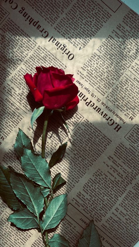 Red Rose Wallpaper Aesthetic, Red Roses Wallpaper Laptop, Rose Flower Wallpaper Iphone, Rose Wallpaper Iphone, Red Rose Wallpaper, Birthday Cake Decorating Ideas, Red Roses Wallpaper, Dark Red Roses, Rose Flower Wallpaper