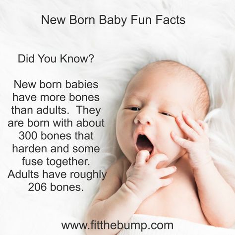 May Born Facts, Facts About Newborns, October Born Quotes Fun Facts, I Knew You Before You Were Born, Fun Facts About Skin, 206 Bones, Birth Facts, Pregnancy Facts, Baby Facts