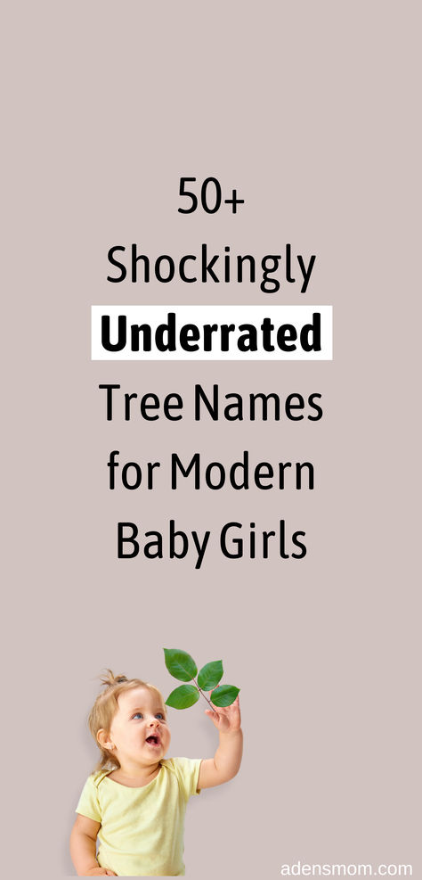 50+ shockingly underrated tree names for modern baby girls Botanical Girl Names, Nature Themed Names, Plant Baby Names, Nature Names For Girls, Earthy Girl Names, Nature Baby Names, Names Nature, Tree Names, Botanical Names