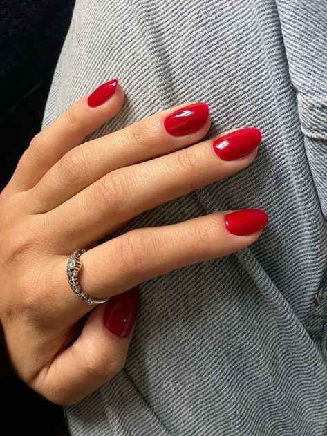 Clean Red Nails, University Nails Ideas, Classic Red Nails Short, Clean Short Nails Aesthetic, Short Red Nails Almond, Short Red Oval Nails, Bright Cherry Red Nails, Round Nails Aesthetic, Short Red Acrylics