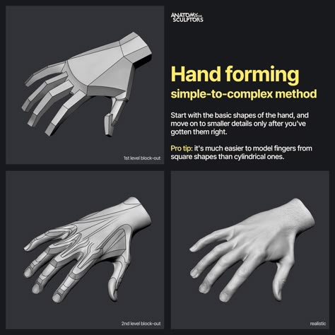 ArtStation - Hand forming Anatomy Books For Artists, Anatomy For Sculptors, Zbrush Anatomy, Hand Anatomy, 3d Anatomy, Zbrush Character, Man Anatomy, Anatomy Sculpture, Adding Details