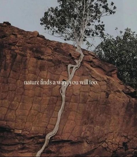 we are nature, experiencing nature. 🤍🌿 "When everything is hard and life becomes a mess, I write in my diary, watch movies, read a book, listen to music, look at the sky, going somewhere and do anything to heal my heart, and clear my mind.. That's how I live. Moreover that's how I survive." #thedendrophile #zerowastetraveller #nature #wanderlust #wanderer #adventures #liveinthemoment #littlethings #letitgo #healing #storytelling #soul #srilanka #lost #happy #living Whale Video, Heal My Heart, We Are Nature, Clear My Mind, Hug A Tree, Tree Quotes, I Have No Words, Look At The Sky, Read A Book