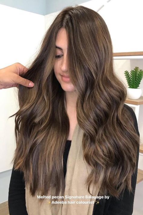 Pecan Hair Color, Shades Of Brown Hair Color, Different Brown Hair Colors, Gorgeous Brown Hair, Shades Of Brown Hair, Hair Color Brown Chestnut, Chestnut Brown Hair, Brown Hair Color Ideas, Brown Hair Shades