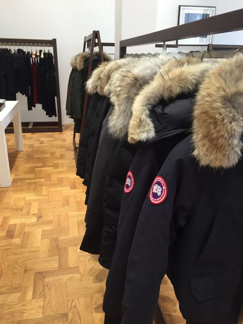 Canada Goose Jacket Aesthetic, Zavetti Canada Jacket Outfit, Canada Goose Aesthetic, Cute Cheap Backpacks, Graffiti Supplies, Black Designer Bags, Jacket Aesthetic, Best Laptop Backpack, Goose Clothes