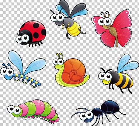 Bug Cartoon Drawing, Bugs Cartoon, Insect Cartoon, Cartoon Bugs, Cartoon Insects, Cute Insects Clipart, Bug Png, Bug Clipart, Bug Rocks