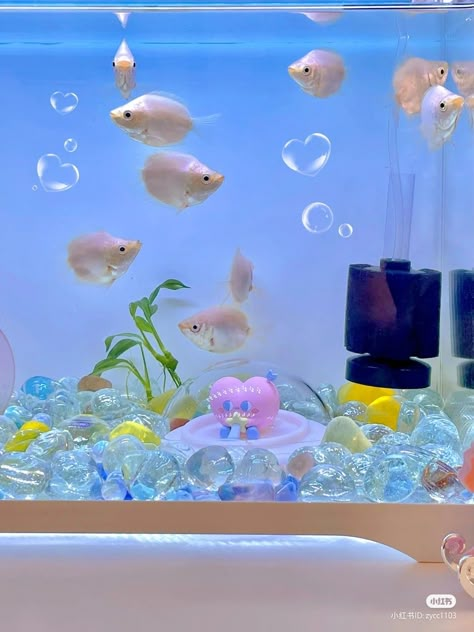 Kawaii Fish Tank, Peceras Aesthetic, Fish Tank Aesthetic, Fish Core, Fish Terrarium, Fish Tank Wallpaper, Kawaii Fish, Aquarium Pictures, Tank Wallpaper