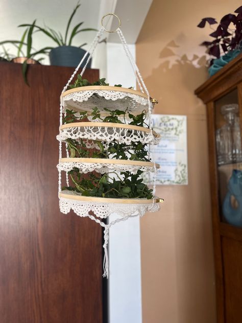 Doilies, embroidery hoop, craft, herb drying, macrame Macrame Herb Drying Rack, Herb Drying Rack Diy Frames, Diy Herb Drying Rack Ideas, Diy Flower Drying Rack, Herb Drying Rack, School Friendship, Herb Drying, Witchy Women, Witch Diy