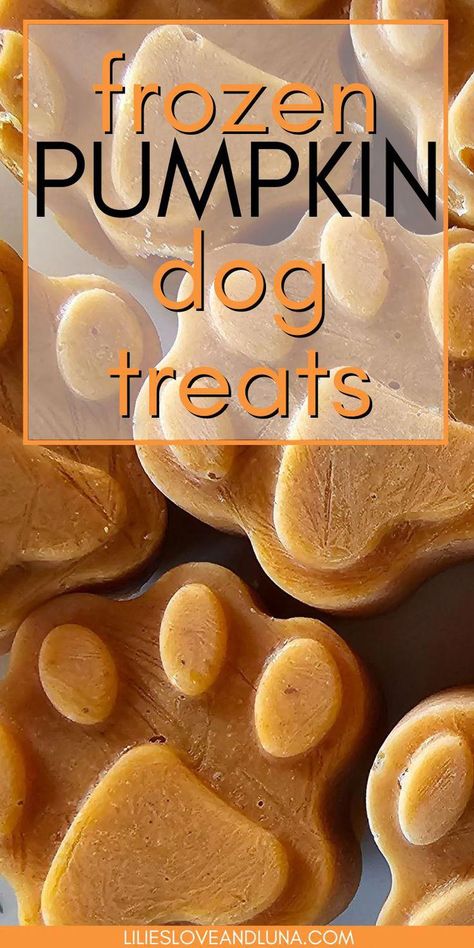 Pure Pumpkin Dog Treats, Frozen Pumpkin Treats For Dogs, Pumpkin And Yogurt Dog Treats, Golden Retriever Food Recipes, How To Make Dog Biscuits, Pumpkin Frozen Dog Treats, Pumpkin Dog Recipes, Dog Biscuits Homemade Pumpkin, Diy Dog Treats For Joints