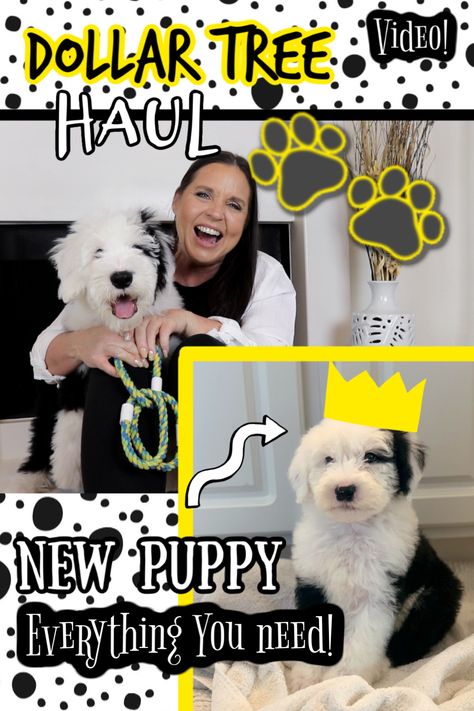 I got a puppy! And of course, I headed to Dollar Tree to load up on puppy goodies. VIDEO EDITION Dollar Tree Dog Diy, Dog Diy Stuff, How To Teach A Puppy Its Name, Dog Diy, Getting A Puppy, A Puppy, Diy Stuff, Diy Dog Stuff, New Puppy