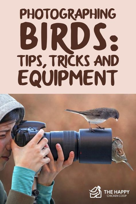 Birds In Nature, Nikon Camera Tips, Nikon Dslr Camera, Camera Tips, Nikon Camera, Photography Lenses, Professional Camera, Bird Watchers, Photography Kit